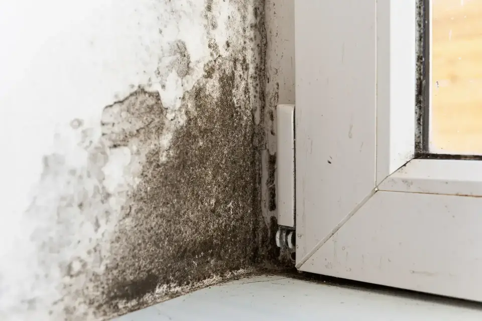 Phoenix's Trusted Emergency Restoration Experts — Phoenix, AZ